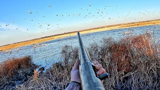 UNFORGETTABLE Day Duck Hunting 200 in the Decoys [upl. by Marabelle471]