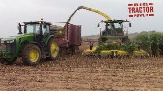 2018 Corn Silage Harvest with 616 hp John Deere 8600 Forage Harvesters [upl. by Assiralc]