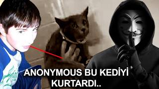 KEDİ DÜŞMANLARI ANONYMOUSA MEYDAN OKURSA [upl. by Elatan]