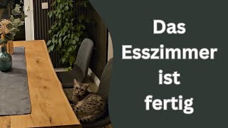 Wie gefällt dieser Katze das umgestaltete Esszimmer [upl. by Mackintosh]