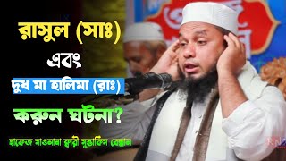 রাসুল সাঃ এবং দুধ মা হালিমা রাঃ করুন ঘটনা। হাফেজ মাওলানা ক্বারী মুস্তাকিম বেল্লাল। Bangla new wa [upl. by Idnas]