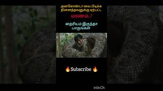 anakonda movie explanation shorts shortsfeed tamilmovie 786 [upl. by Ityak]