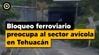 Bloqueo ferroviario preocupa al sector avícola en Tehuacán [upl. by Nihahs]