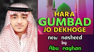 hara gumbad jo dekhoge  হারা গুম্বাদ যো দেখোগে জামানা ভুল জাওগে  Abu rayhan [upl. by Yknarf29]