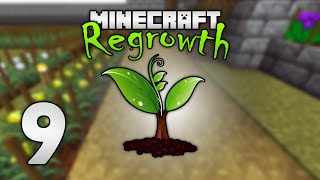 Modded Minecraft Regrowth HQM  9  Quest for the BEST block [upl. by Ulric]