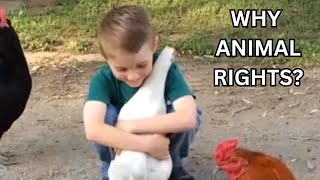 Why Animal Rights Hindi w English Subs [upl. by Bond]