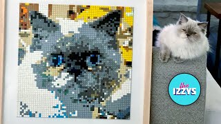 Cat Portrait using 4096 LEGO Bricks Timelapse and Tutorial [upl. by Yerrot202]