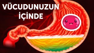 Vücudunuzun İçine Doğru Bir Yolculuk [upl. by Archibald749]