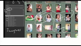 Que son los catalogos de lightroom [upl. by Arramat]