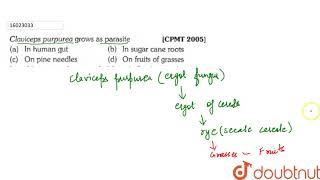 Claviceps purpurea grows as parasite  11  FUNGI  BIOLOGY  ERRORLESS  Doubtnut [upl. by Llenil934]