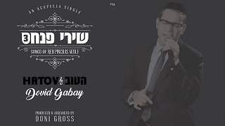 Dovid Gabay  Hatov Acapella Single Shirei Pinchas 3 [upl. by Akinahc]