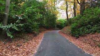 Basingstoke Canal  Frimley  Deepcut  Pirbright Surrey  2024 [upl. by Namyh]