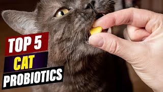 How to Choose the Best Probiotic for Your Cat [upl. by Euh]