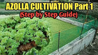 AZOLLA FARMING  AZOLLA CULTIVATION PART 1  AZOLLA PLANT PHILIPPINES ALAMIN  STEP BY STEP GUIDE [upl. by Nessah]