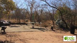 6 Bedroom Farm For Sale in Bela Bela Limpopo South Africa for ZAR 750000 [upl. by Othe]