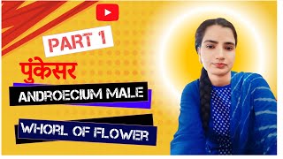 पुंकेसर  Androecium  Male whorl of flower  Part 1 [upl. by Names]