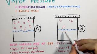 23 Vapor Pressure IMFs and Boiling Point [upl. by Uticas]