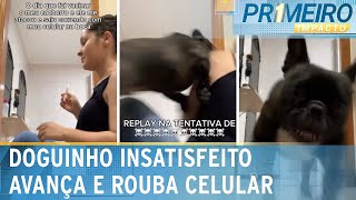 Flagra Tutora tenta aplicar vacina e cachorro se vinga  Primeiro Impacto 130324 [upl. by Bea]