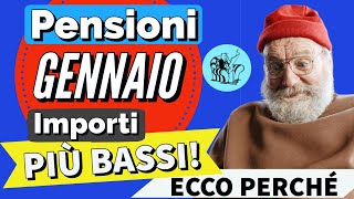 PENSIONI GENNAIO 2024 👉 IMPORTO PIÙ BASSO sul CEDOLINO❓ Ecco perché [upl. by Soutor]