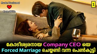 Drama Explained In Malayalam  Korean Drama Malayalam explained new movie drama [upl. by Livvi]