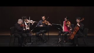 Mozart  String Quintet in C major K 515 [upl. by Nicholson]