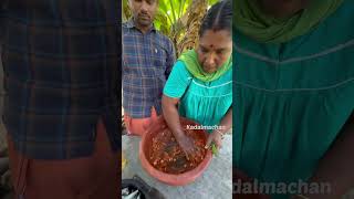 How To Make Sardine Curry  kadalmachan keralafood reel keralacooking shorts shortvideo [upl. by Yesoj]