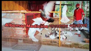 আজ সমস্ত পায়রাদের Albomar Medicine খাওয়ালাম  Aaj Samosto Payrader Albomar Medicine Khoyalam [upl. by Erminna977]