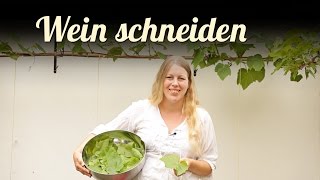 Wein schneiden 🍇 Weinrebenschnitt 🍇 Weinblätter füllen 🍇 Obst im Garten [upl. by Eesak837]