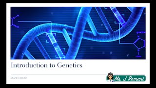 Lesson Video  Introduction to Genetics [upl. by Nerad645]