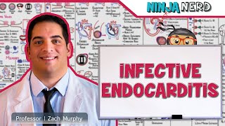 Infective Endocarditis [upl. by Enelkcaj295]