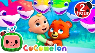 The Colorful Baby Shark Song 🦈  CoComelon  Nursery Rhymes  Fun Cartoons For Kids [upl. by Docila]