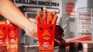 Burger King Spicy Chicken Fries ad but the singer stays silent [upl. by Bolme]