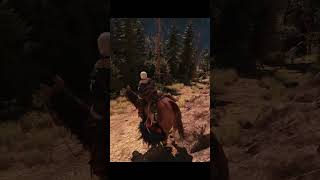 Horse in Witcher 3 likes to slide down to lmao lol slide funny games witcher shorts [upl. by Annaiuq689]