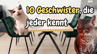 10 Geschwister die jeder kennt katzenmemes katzenmeme memesdeutsch [upl. by Yt]