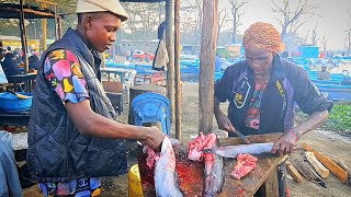 catfish cutting skills Kenya street food shorts masaimarasafari fish africa [upl. by Irene]