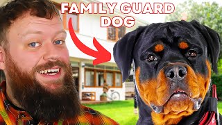 Top Family Guard Dog For You [upl. by Chellman13]