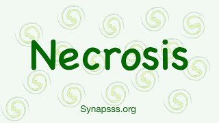 Necrosis definition morphology nuclear changes mechanisms types [upl. by Ilrac]