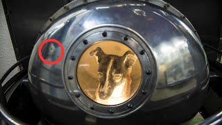 😭¿Qué pasó con el cuerpo de Laika🚀 La VERDADERA HISTORIA de Laika la PERRITA ASTRONAUTA [upl. by Dunlavy]