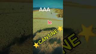 Le cantine acrobatics parkour flip automobile funny skate edit summer backflip fun [upl. by Hannahoj]