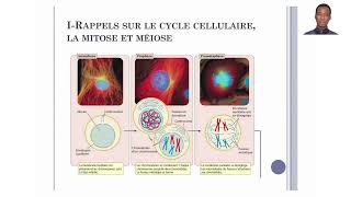 Cours de Génétique Humaine  Cytogénétique Humaine [upl. by Eelessej573]