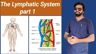 The Lymphatic System Part 1 [upl. by Uhayile]