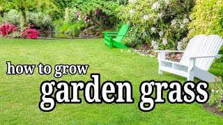 garden grass  ghas kaise lagayeHow to grow lawn grass  घर में लोन कैसे तैयार करें [upl. by Walden]