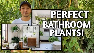 BEST HOUSEPLANTS FOR YOUR BATHROOM [upl. by Rawdin800]