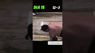 Terunofuji vs Kotozakura camino al campeonato Nagoya Basho 2024 nagoya grandsumo sumo [upl. by Assiralk]