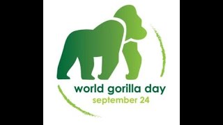 World Gorilla Day 2022 [upl. by Aneehsal]