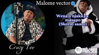 MALOME VECTOR SKEEM SAAM X UBUNTU BAND LILYJOKE ntatestunnaofficial [upl. by Hayashi37]