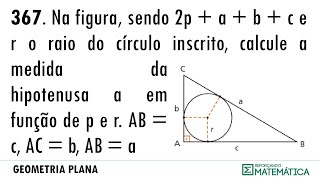 C10 CÍRCUNFERÊNCIA E CÍRCULO 367 [upl. by Leavy]