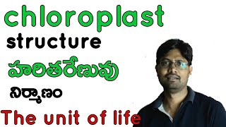 Chloroplast structure The unit of life Bhaskars biology [upl. by Duquette]