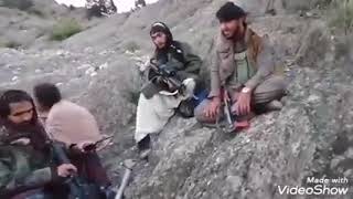 Pashto new tarana afghanistan mujahid afghanistan taleban Nazammujahid naat [upl. by Ttennaj]