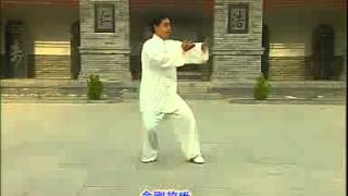 Chen Style Tai Chi  Old Frame One Teaching Video 1 [upl. by Gabey]